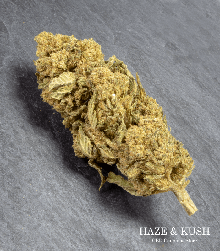 CBD Amnesia flores marihuana