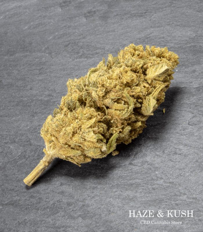 Cannabis marihuana Amnesia CBD online