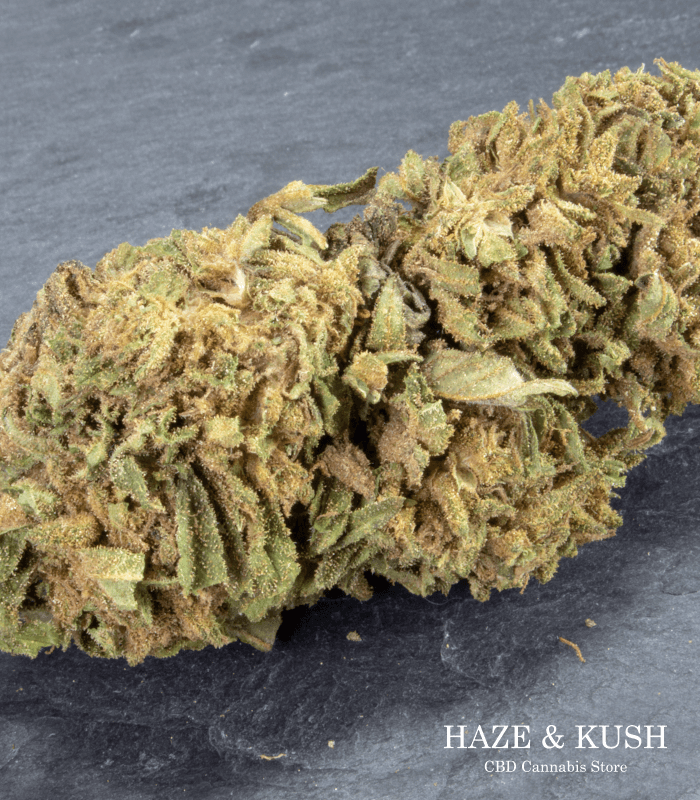 skywalker marihuana legal online