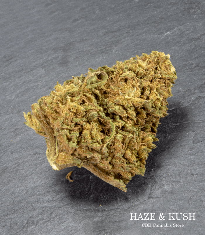 skywalker marihuana online