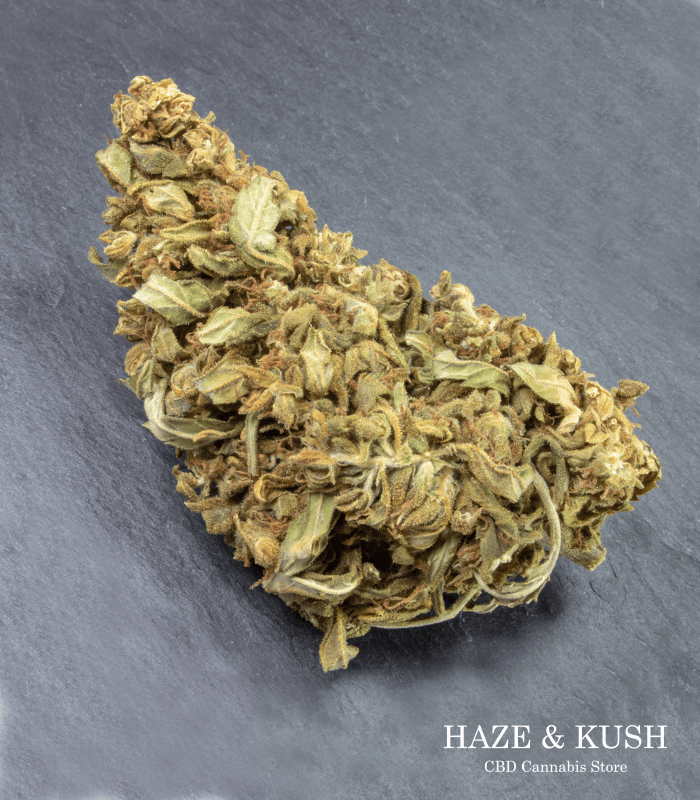 Charlotte CBD cannabis online