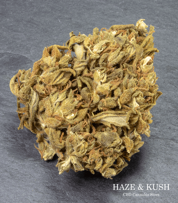 Marihuana legal Charlotte cbd